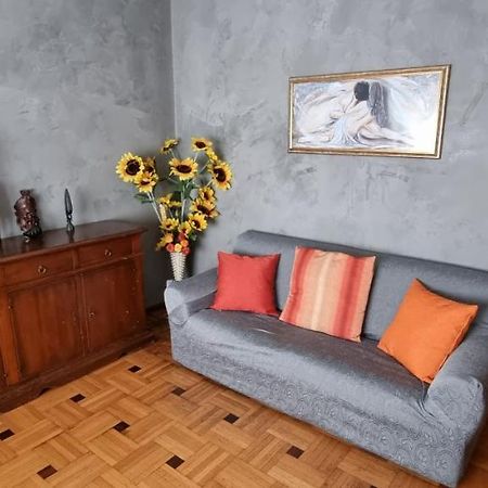 布斯托阿西齐奥Al Salice Tranquillita Nel Verde Via Amendola 24公寓 外观 照片